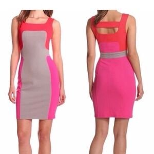 NWT Bonheur D’amour Dress